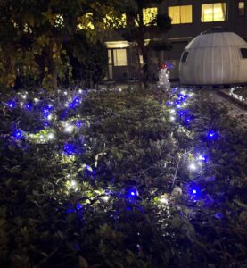 院長ブログ Vol.27 今年も当院でクリスマスイルミネーション！