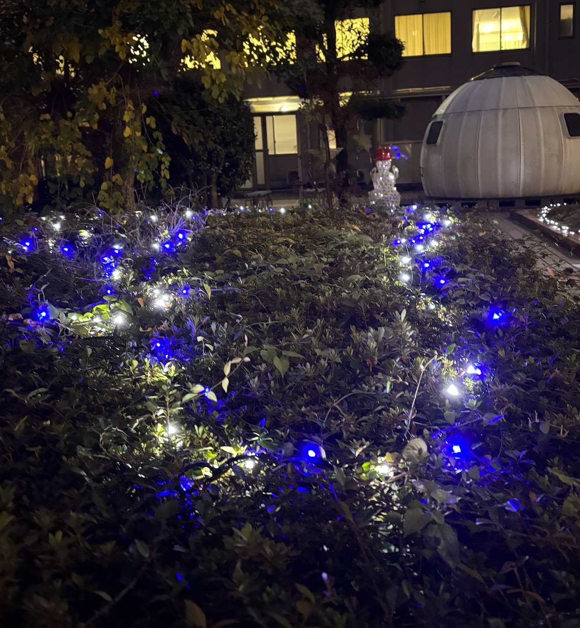 院長ブログ Vol.27 今年も当院でクリスマスイルミネーション！