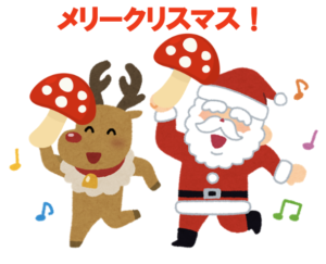 院長ブログ Vol.27 空飛ぶトナカイはサンタが見た幻覚だった！？サンタクロースの起源についてトリビアをご紹介！