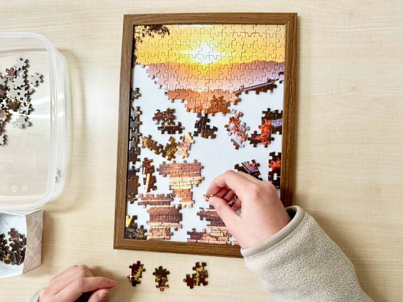 「ステッププログラム」~ジグソーパズル~